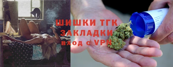 дмт Алзамай