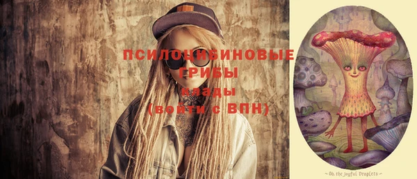 дмт Алзамай
