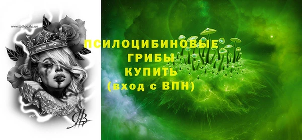 дмт Алзамай