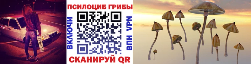 Купить где  Кодинск  Псилоцибиновые грибы прущие грибы 